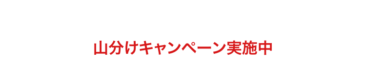山分けキャンペーン実施中