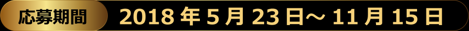 応募期間：2018年5月22日～11月15日