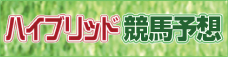 ハイブリッド競馬予想新聞