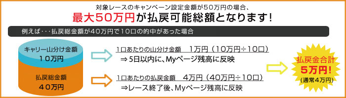 山分けキャンペーン概要図