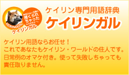 ケイリンガル