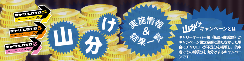 山分けキャンペーン